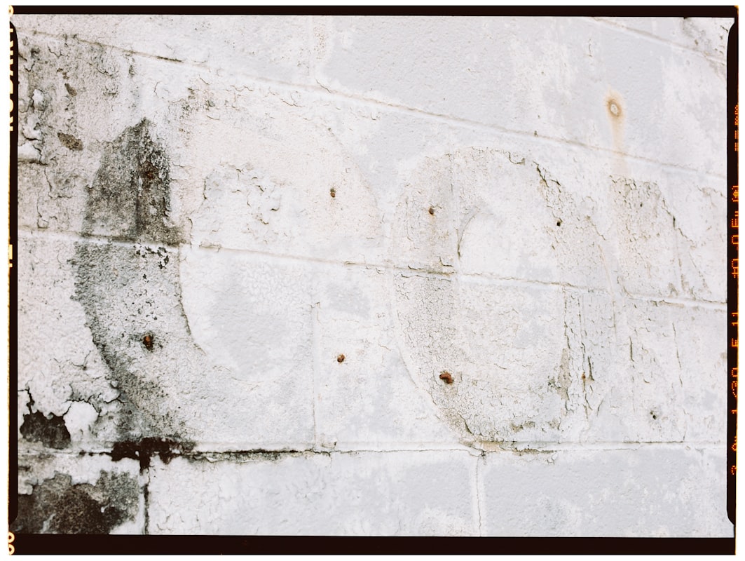 Water Extraction service in Vista, CA